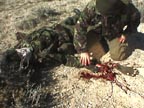 Click To Learn More About Tactical Medicine Training